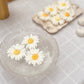 Vela de Margarita Flotante